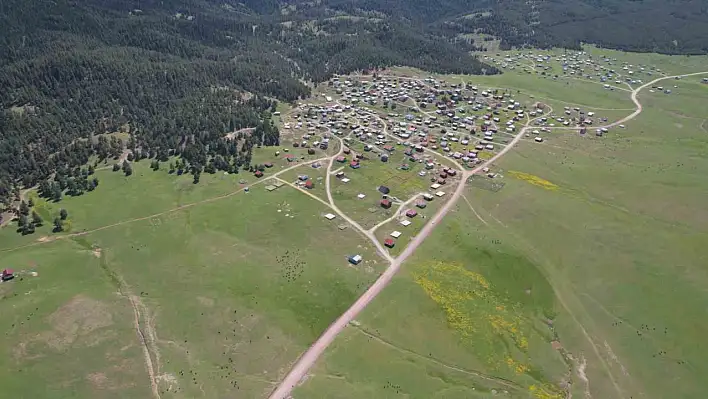 Havalar ısındı - Büyük göç başladı