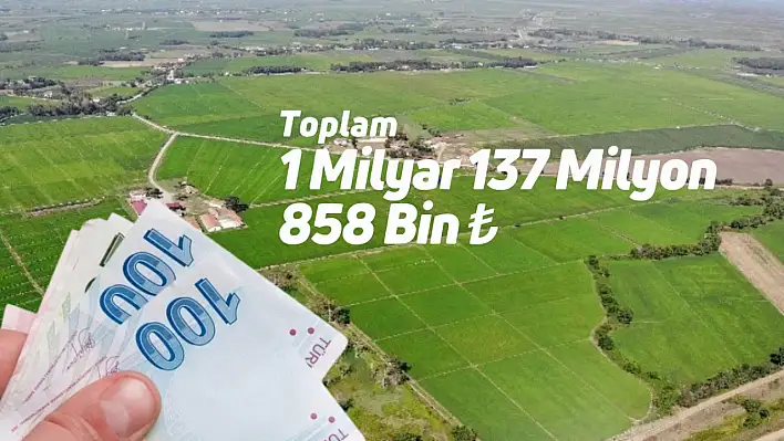 Hesaplara bugün aktarılacak: 7 farklı başlıkta destek ödemesi!