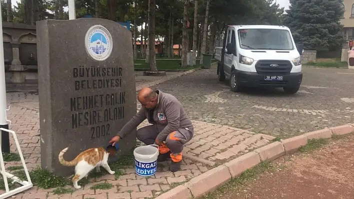 İlçede Çevre Koruma Müdürlüğü Hizmetleri Devam Ediyor