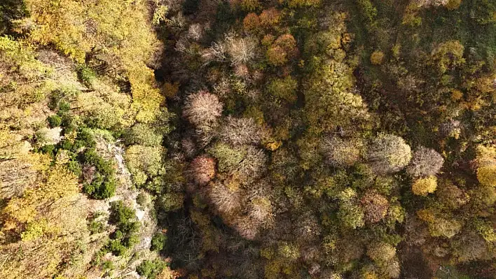 Başiskele sonbaharda görsel şölene dönüştü