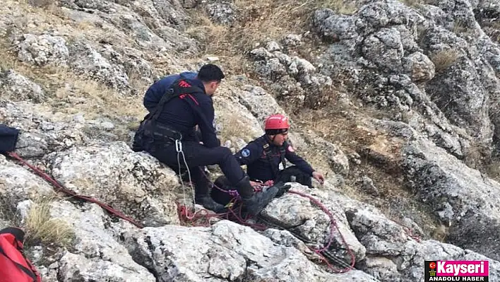 İtfaiyeden 3 saatlik keçi kurtarma operasyonu