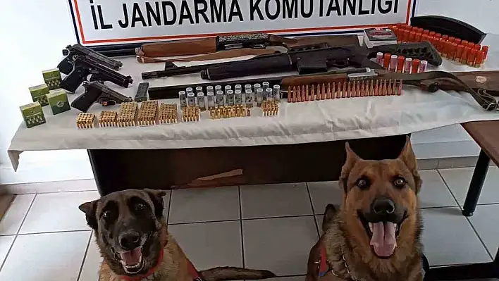 Jandarmadan ruhsatsız tabanca ve tüfek operasyonu