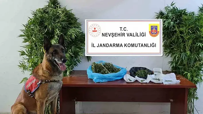 Jandarmadan uyuşturucu tacirlerine geçit yok