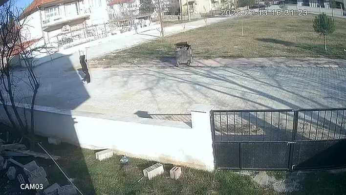 Çöpte iple ayakları bağlanmış köpek bulundu