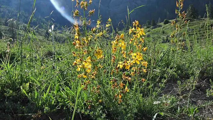 Geben Vadisi Milli Park ilan edildi