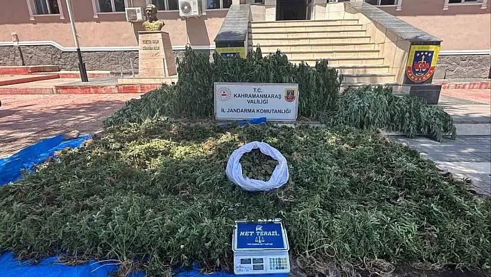 Kahramanmaraş'ta Jandarma Skunk Operasyonu Yaptı