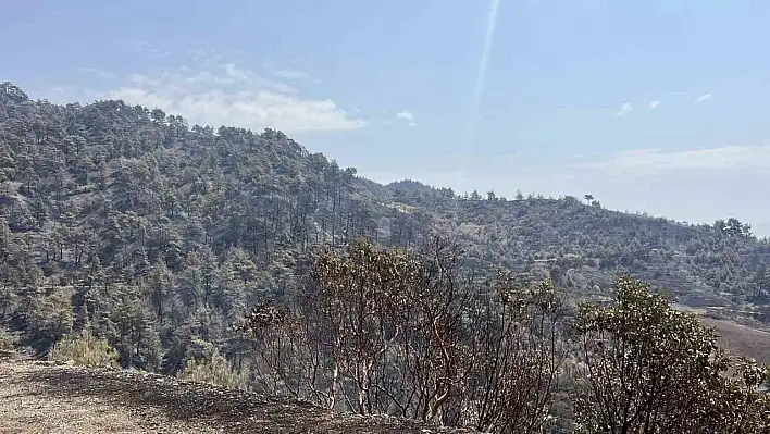 Kahramanmaraş'ta orman yangını kontrol altına alındı