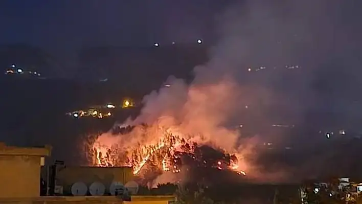 Kahramanmaraş'ta ormanlık alanda yangın!