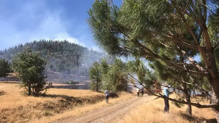 Kahramanmaraş'ta orman yangını korkuttu!