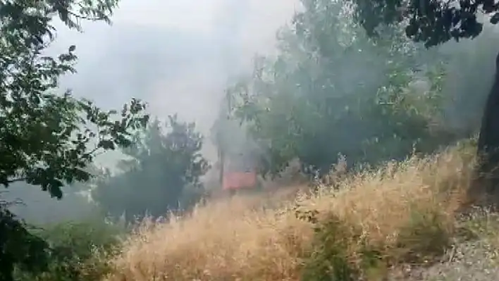 Rüzgar yangını büyüttü, ekipler alevlere geçit vermedi