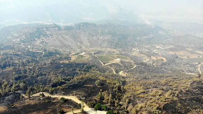 Kahramanmaraş'ta orman yangınına müdahale devam ediyor!