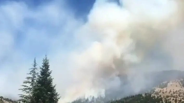 Göksun'da orman yangını başladı