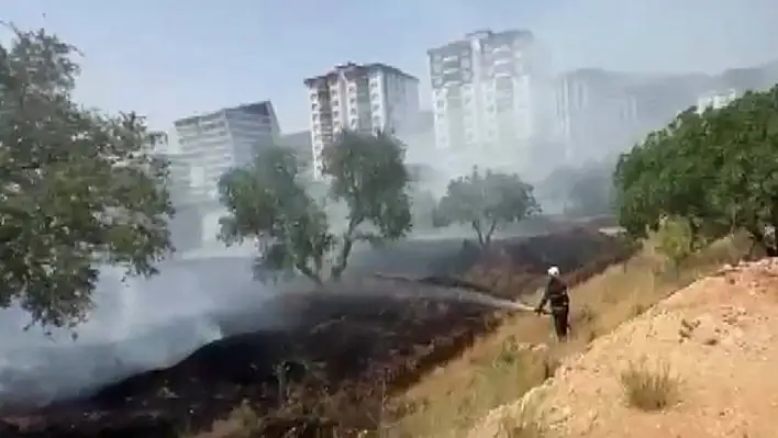 Kahramanmaraş'ta zeytinlik yangını korkuttu!