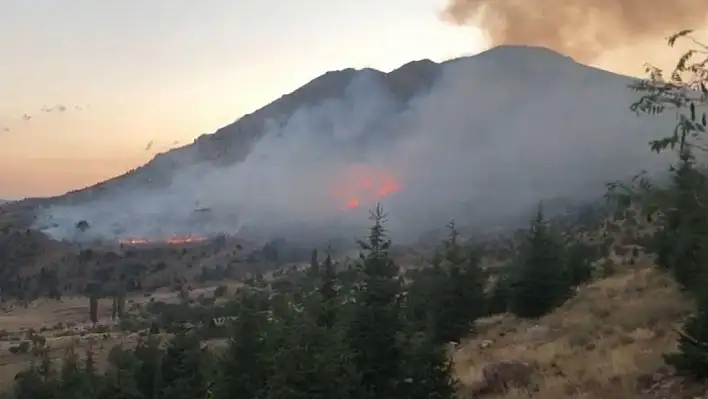 Kahramanmaraş'taki orman yangını söndü