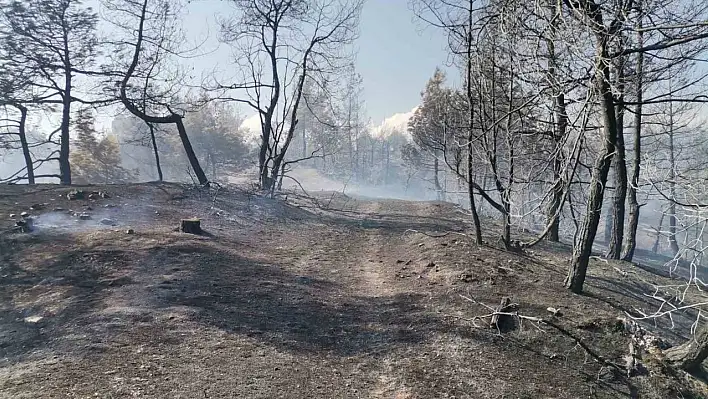 Orman Yangını Kontrol Altına Alınmaya Başladı