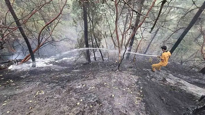 115 Personelle müdahale edilen yangın kontrol altına alındı!