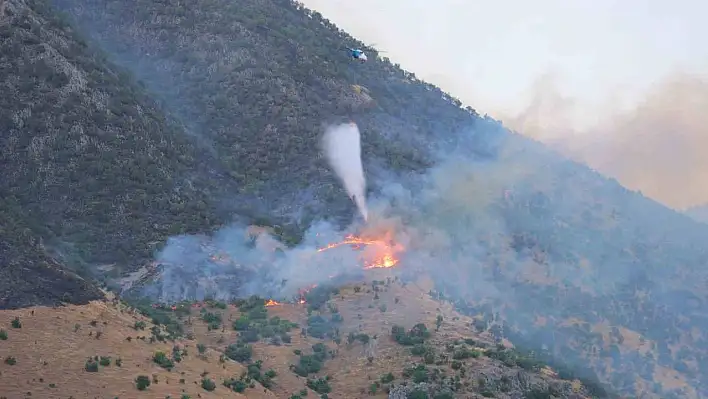 Orman yangınına müdahale devam ediyor!