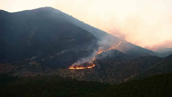 Orman Yangınına Havadan ve Karadan Müdahale!