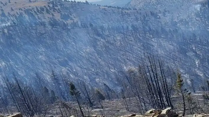 Kahramanmaraş'taki orman yangını devam ediyor