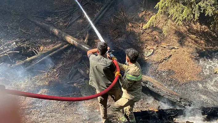 Kahramanmaraş'ta ki orman yangını 3 günün sonunda kontrol altına alındı