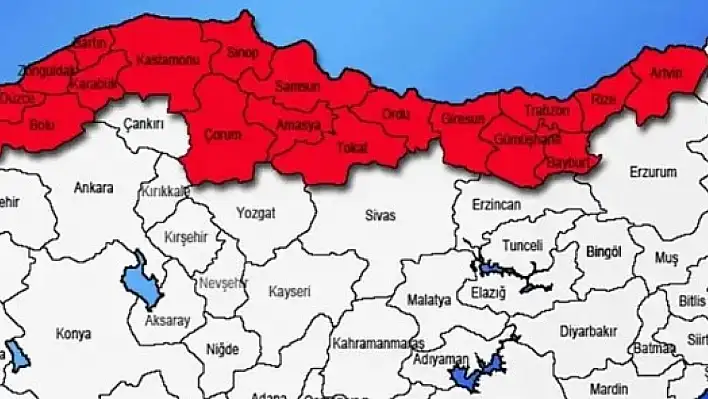 Karadeniz'de istila büyüyor - Kayserililer tedirgin!