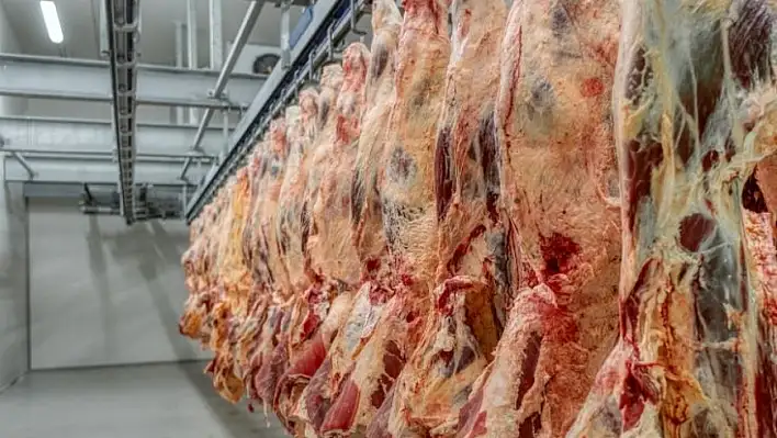 Karkas ette bu hafta düşüş var: Kayseri'de son durum ne?