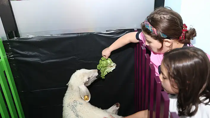 Kayseri Büyükşehir'den 4 Ekim'e özel duyarlılık etkinliği