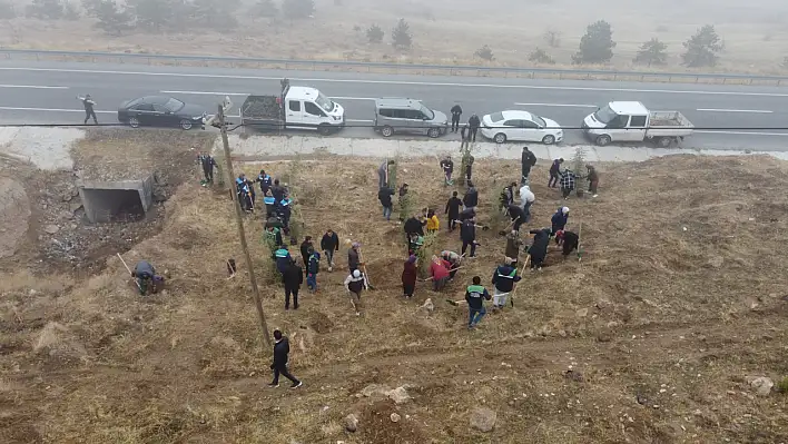 Kayseri Büyükşehir, Yahyalı'da yeşil alanları genişletiyor