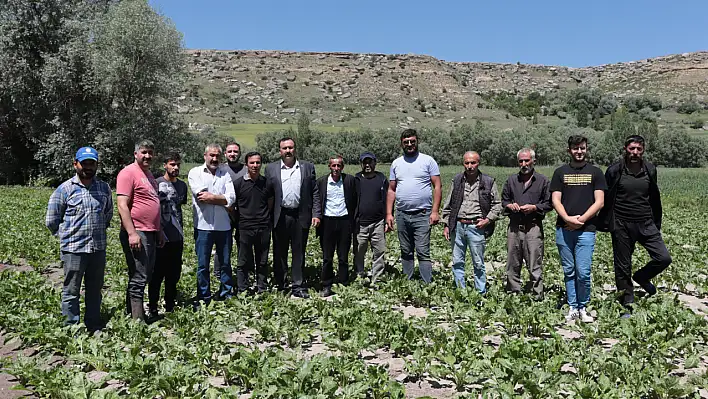 Kayseri çiftçisinin ekinleri zarar gördü