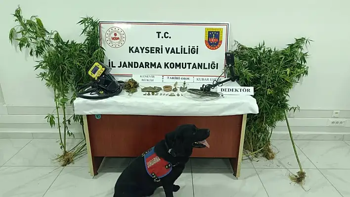 Kayseri'de çok sayıda tarihi eser ele geçirildi: 1 gözaltı