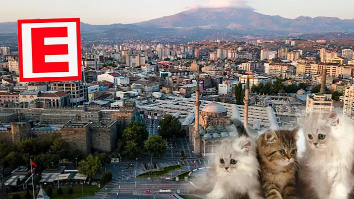 Kayseri'de 7 Mart nöbetçi eczaneler listesi - Sağlık köşesinde kedi tırmalaması...