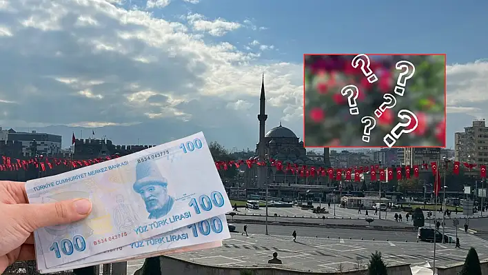 Kayseri'de adet ile satılıyor: 1 adedi 100 TL!