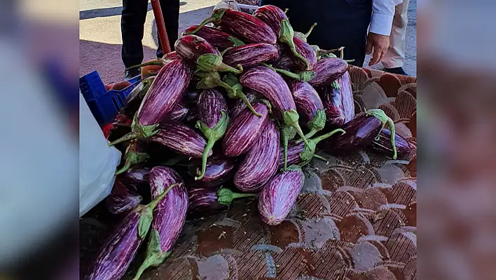 Kayseri'de adıyla ünlü o sebze yılda bakın kaç ton üretiliyor?