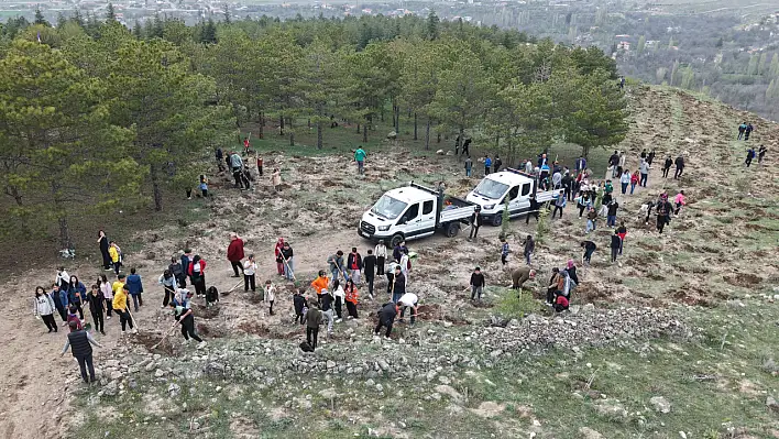 Kayseri'de ağaçlandırma şenliği - 3 bin fidan toprakla buluştu!