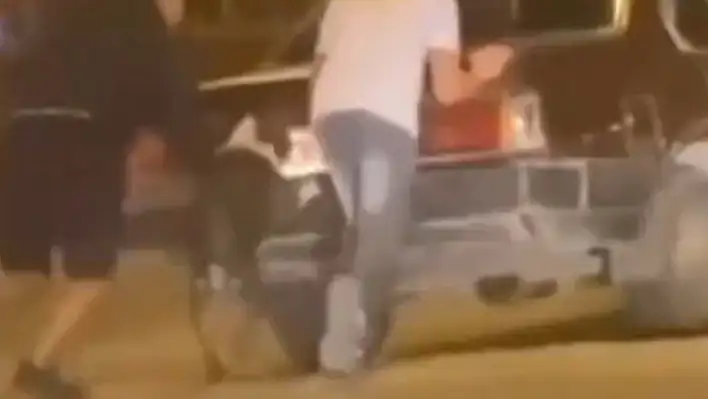 Kayseri'de araba iten köpek şaşkına çevirdi!