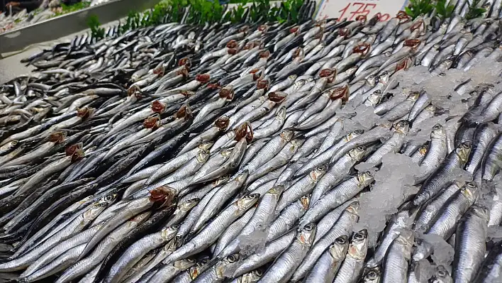 Kayseri'de balık fiyatları neden yüksek? 30 yıllık usta nedeni tek tek açıkladı