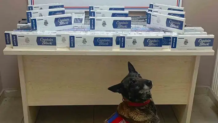 Kayseri'de yüzlerce paket kaçak sigara yakalandı!