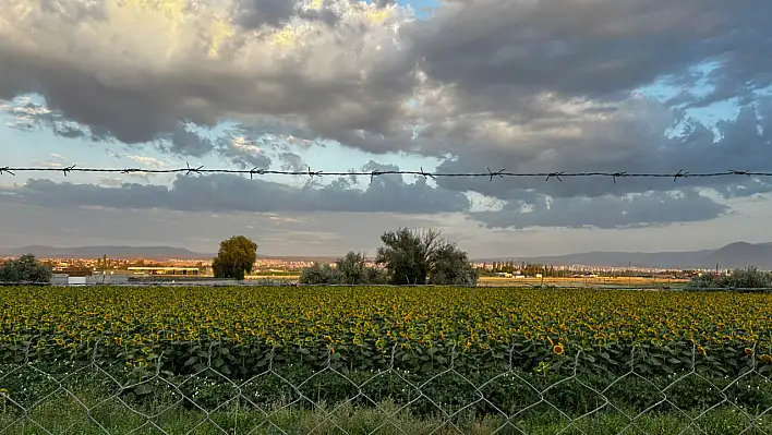 Kayseri'de binlerce boş arazi ortaya çıktı! 45 günlük süre başladı
