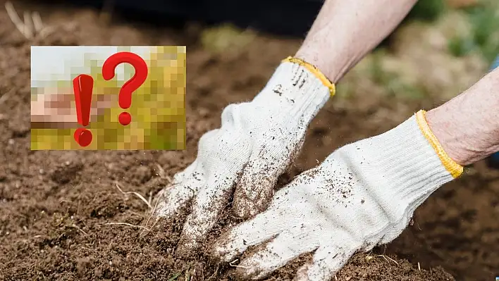 Kayseri'de bir ilk! Çiftçinin yeni umudu et ve süt veriminde devrim yaratacak!