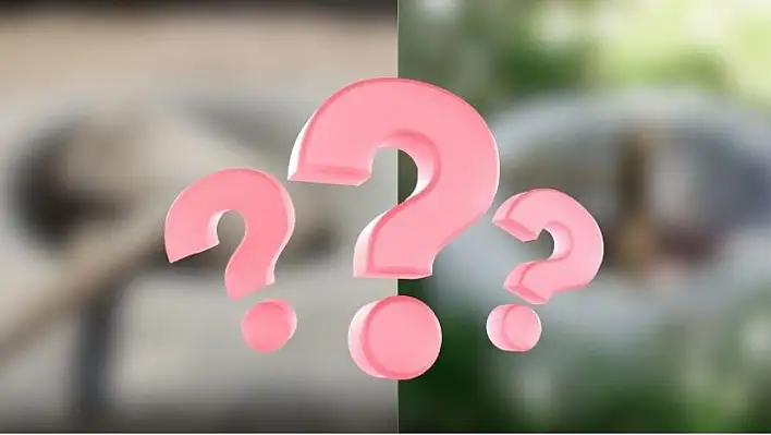 Kayseri'de bir köyde yüzyıllık sır ortaya çıktı! Bu ne taşı?