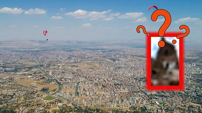 Kayseri'de bulunan bu ev herkesin ilgi odağı oldu!