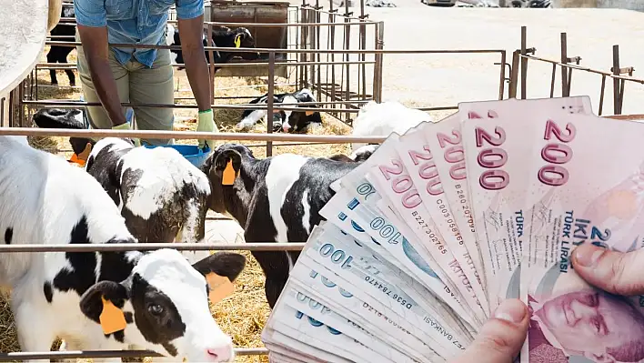 Kayseri'de büyük destek: Üreticiye 20 milyon lira!