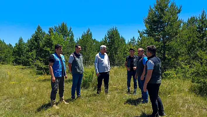 Kayseri'de çalışmalar sürüyor: 26 sene önce ağaçlandırılmıştı Bölge Müdürü Bayıcı yerinde inceledi...