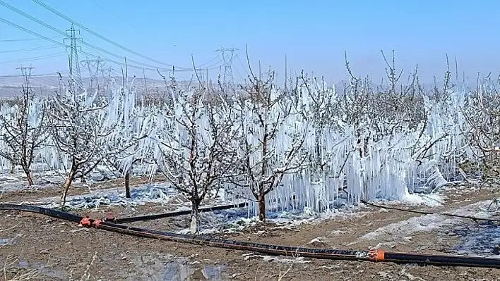 Kayseri'de çarşı pazara zirai don darbesi!