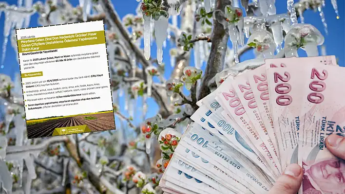 Kayseri'de çiftçilerin beklediği müjdeli haber geldi: Zira don ödemeleri başlıyor!