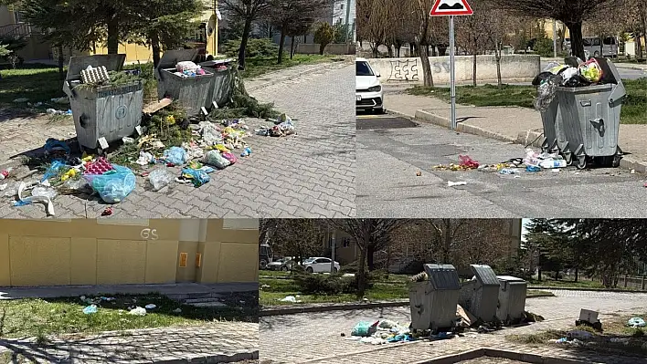 Kayseri'de çöp krizi: Başkan - yeğen çekişmesi sosyal medyaya taştı!