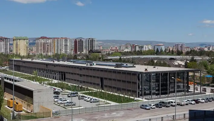 Kayseri'de Esrarengiz Olay – Kediler Parçalanıyor!