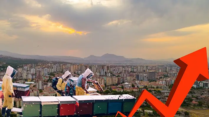 Kayseri'de fiyatı arttı: Talep de arttı!