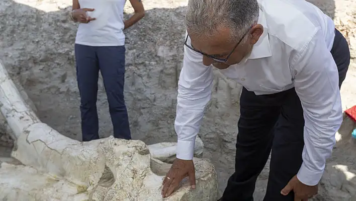 Kayseri'de fosil kazı çalışmalarında yeni dönem...