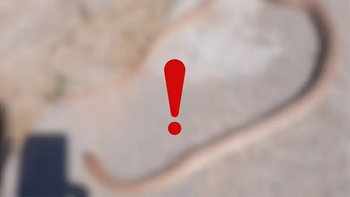 Kayseri'de görülen yılan şaşkınlık yarattı!